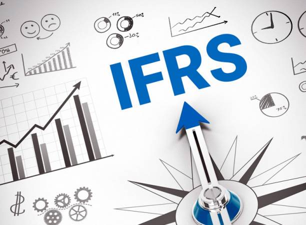 Концептуальные основы представления финансовых отчетов (IFRS Framework): экономические ресурсы и активы, права требования, обязательства и собственный капитал