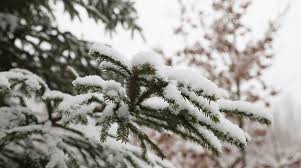 Когда в Беларусь придет климатическая зима, рассказали в Белгидромете