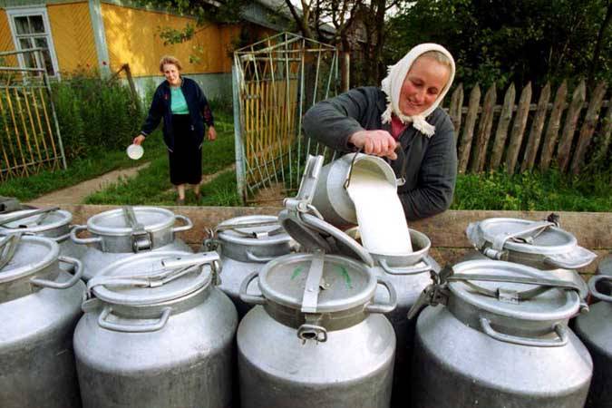 Ассоциация европейского бизнеса вступилась за белорусскую молочную продукцию 