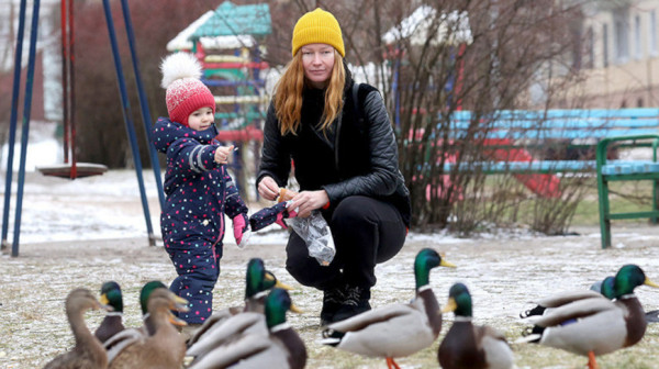 С 1 февраля увеличиваются размеры государственных пособий семьям, воспитывающим детей, исчисляемые из БПМ