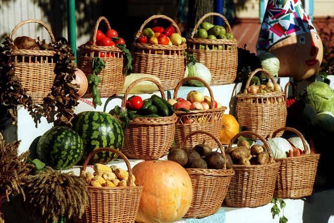 В Минской области производство сельхозпродукции выросло на 2,9% за январь-июль
