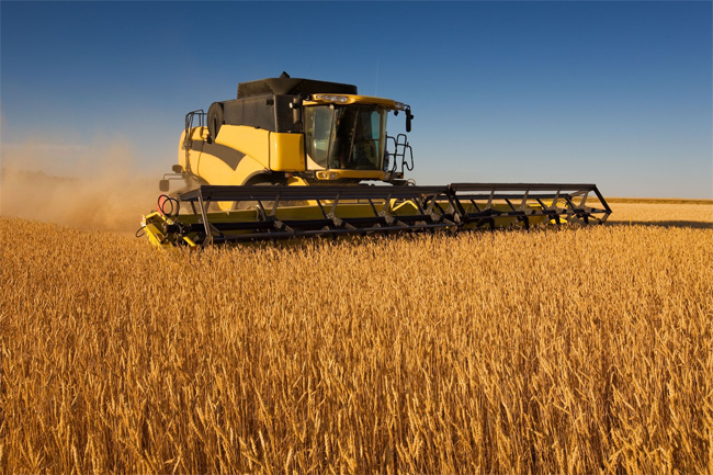 Русый: Беларусь и Россия согласовали поставки сельхозпродукции