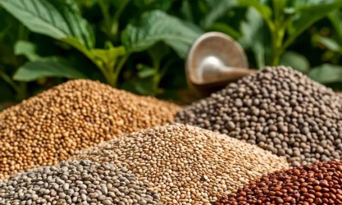 Определен перечень семенного и посадочного материала, являющегося подкарантинной продукцией