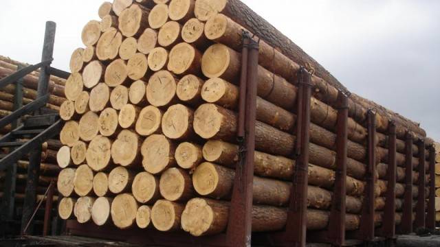 Подписан Указ об изменении Правил реализации древесины