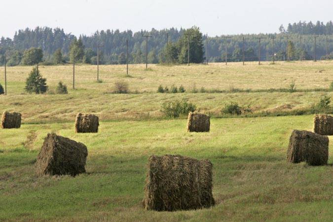 Молодым аграриям Беларуси срочную военную службу могут заменить на службу в резерве