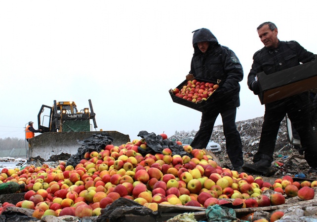 В России с начала года уничтожено 1,89 тыс. тонн пищевой продукции
