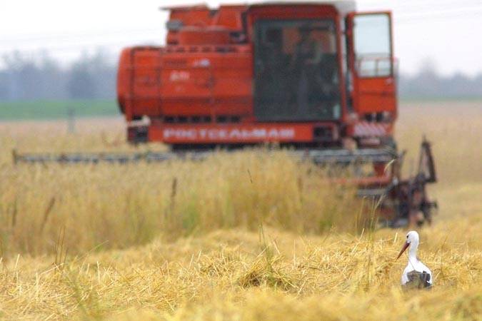 Почти треть расходов бюджета на экономику пошло на сельское хозяйство