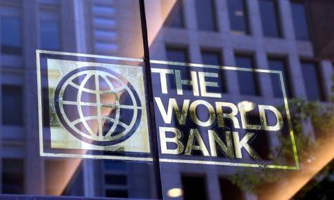 Всемирный банк выделил деньги на белорусский лес