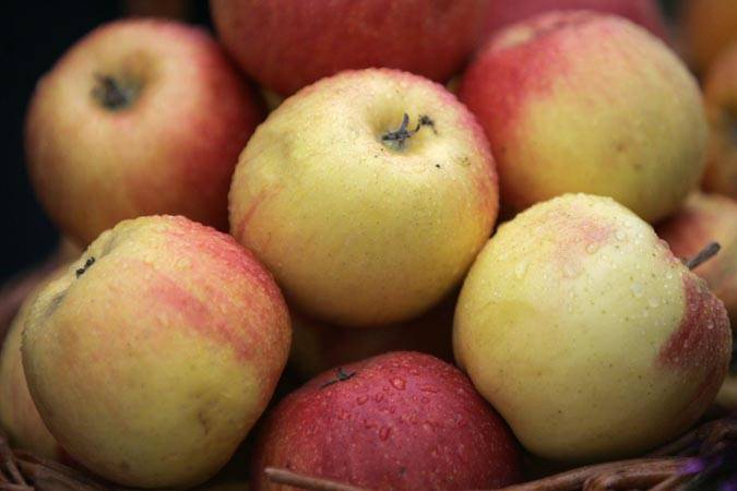 Россельхознадзор снимает временные ограничения на поставки яблок из Беларуси