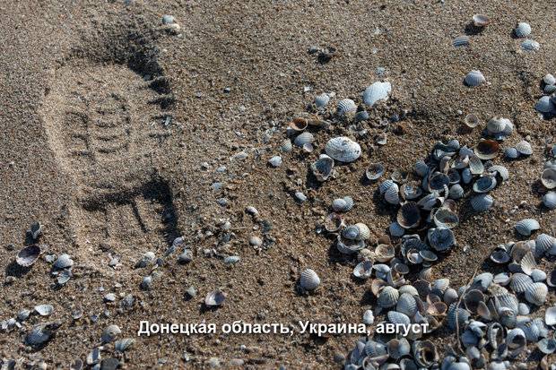 До +16°C, кратковременные дожди и туманы. Какой будет погода в Беларуси 27 февраля — 3 марта