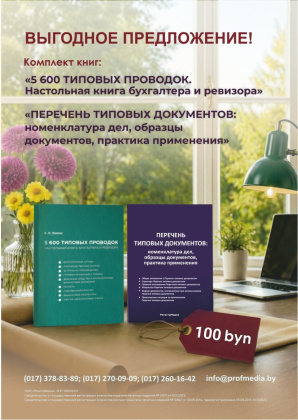 Комплект книг: «5 600 типовых проводок. Настольная книга бухгалтера и ревизора» + «Перечень типовых документов: номенклатура дел, образцы документов, практика применения»