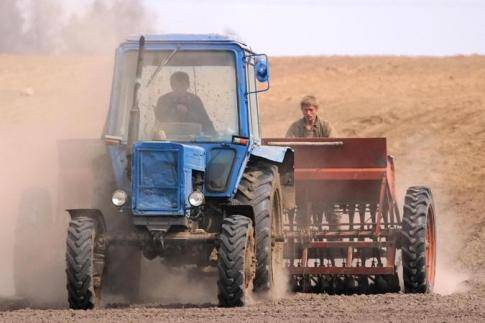Стоимость весенней посевной в Беларуси оценивается в 1,8 миллиарда рублей