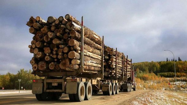 На экспортных торгах БУТБ продано лесопродукции на 8,8 млн EUR