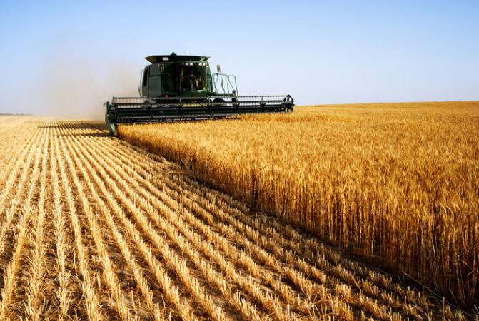 Белстат: в январе — марте 2021 г. производство продукции сельского хозяйства снизилось