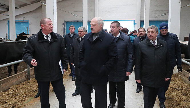 Лукашенко отправил губернатора Могилева в отставку 
