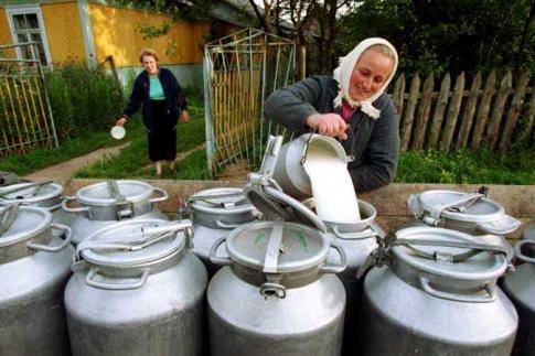 Россельхознадзор: Доля белорусского молока составляет 86% от общего объема поставок молочной продукции в Россию 