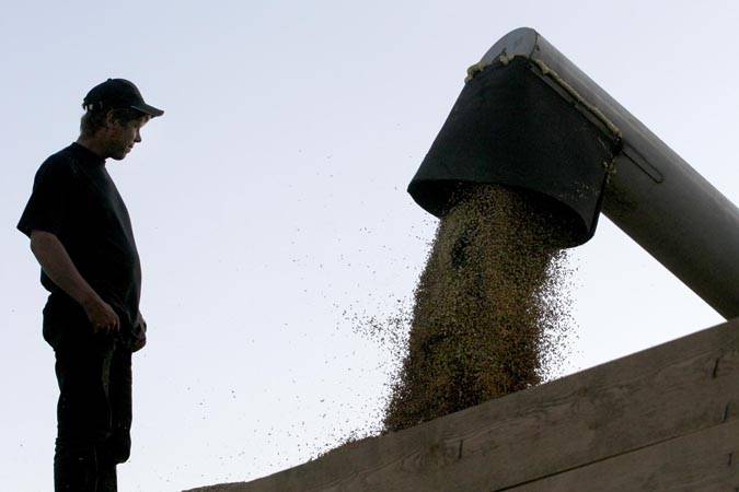 С 29 марта Беларусь вводит лицензирование вывоза зерна и семян