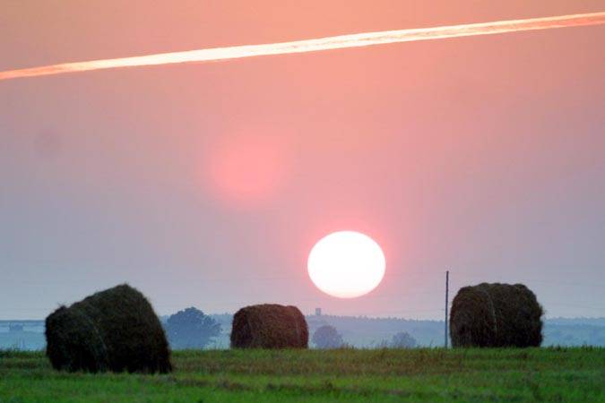 Раскрытие в финансовой отчетности информации, связанной с изменением климата Раскрытие в финансовой отчетности информации, связанной с изменением климата